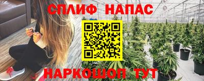 ECSTASY Коммунар