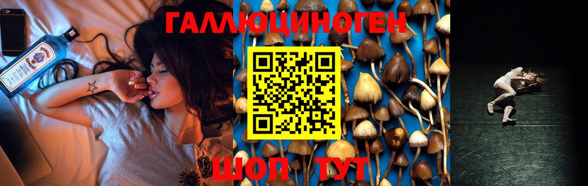 Галлюциногенные грибы ЛСД Буйнакск